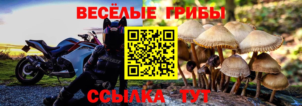 купить наркоту  Псилоцибиновые грибы Psilocybine cubensis  Вход с VPN  Реутов 